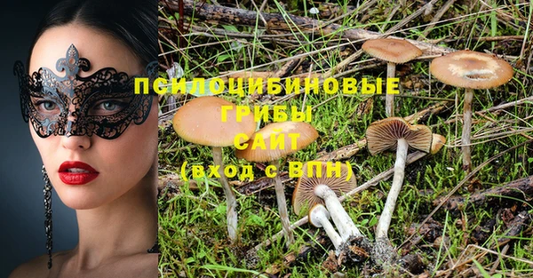 эйфоретик Аркадак
