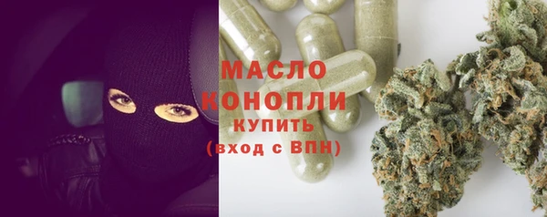 шишки Арсеньев