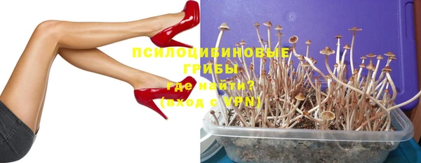 эйфоретик Аркадак