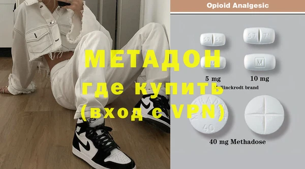 шишки Арсеньев