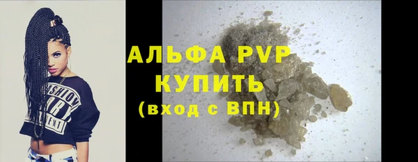 шишки Арсеньев