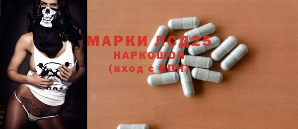 шишки Арсеньев