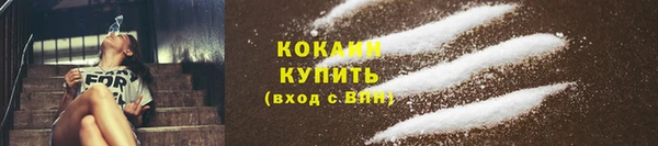 шишки Арсеньев