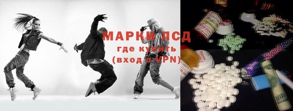 шишки Арсеньев