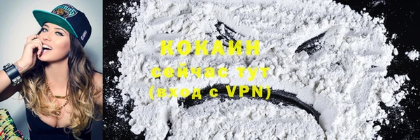 шишки Арсеньев